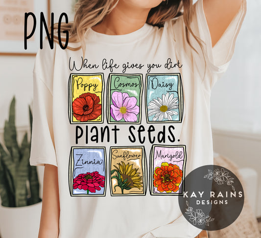 Flower seeds - PNG
